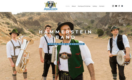 Hammerstein Band: Web Design & Development
SEO - after 5 months of work the business is on Top Search on Google