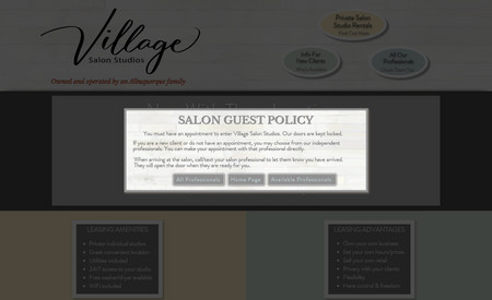 Village Salon: Website redesign, social media management, graphic design, copy editing text