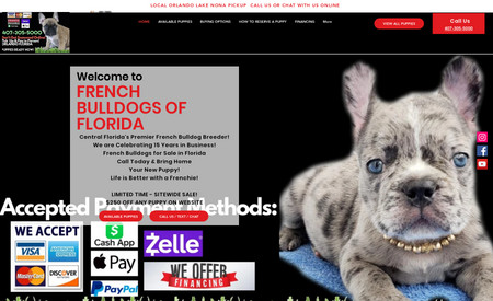 Frenchie Central: Website Design and Full-Scale Marketing.