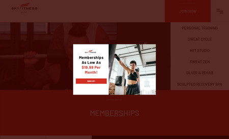 SkyFitness247: Custom, advanced website design for a multi-franchise gym and social media marketing.