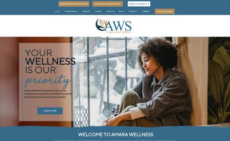 AWS: Counseling services. All branding designed for them - Logo, colors, etc. 