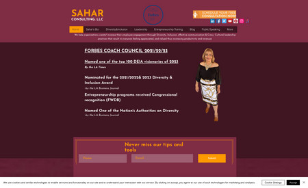 Sahar Consulting LLC: "Sahar Consulting, LLC." is a " California State Certified Small Business" Diversity and Global Marketing consulting business firm in Los Angeles, CA.