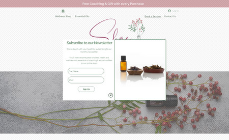 shae-lifestyle: Advanced website with store front and booking capabilities for a holistic health business