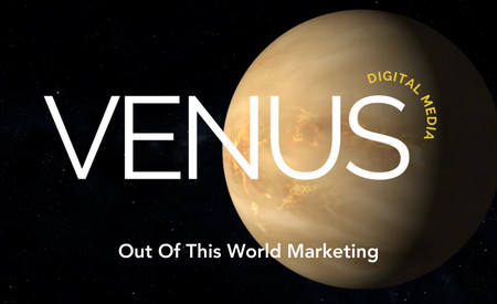 Venus Digital Media: Our own Editor X one page website. Using immersive branding visuals and transparent video.