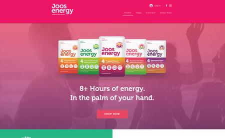 Joos Energy:  I have done with. 
01: Logo design. 
02: Complete and sleek website design. 
03: On Site SEO. 
04: Connected website with google. 
05: Added payment method.
06: A brand new design. 
07: Added booking app. Contact forms etc.  
08:Images as per them of website. 
09:Videos as per theme of website. 
10: very unique design.
11:Responsive design. 