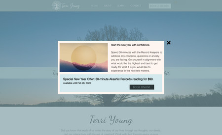 Terri Young: Built a new website for Terri Young including Wix Bookings