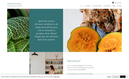 Michela Formis: Création du site sur mesure. Réalisé pour Studio Joli Jaune.