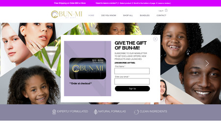 Bun-mi: Custom website with custom brand accent.