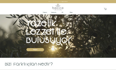Becce Zeytinyağı: E-ticaret sitesi tasarımı