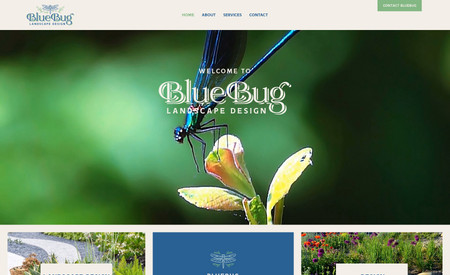 BlueBug Landscape Design: This website is for a Garden Designer in San Diego, CA. The website uses Wix Blog & Forms.