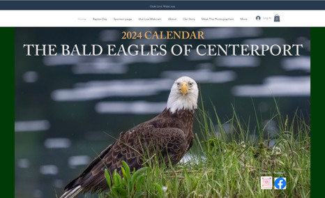 Bald Eagles of Centerport 