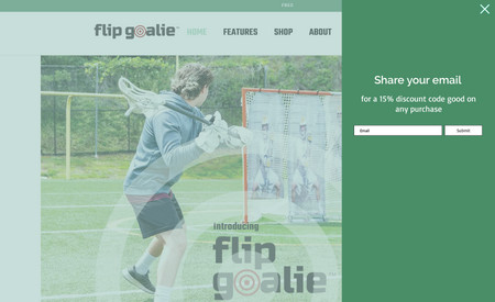 flipgoalie-1: This is an ecommerce website for the sale of goalie equipment