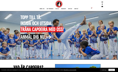Reagl-capoeira: Website for Brazilian martial arts in Stockholm