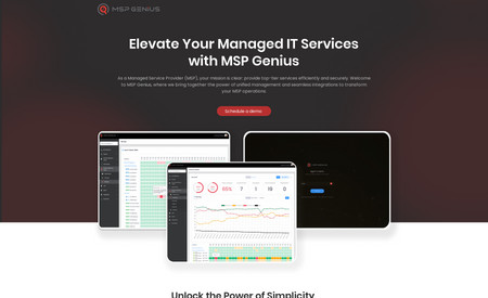 MSP Genius: MSP operations website