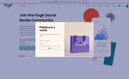 Flogk: A Social Media built for a customer in Brasil. Including member messaging, posting in general, blog, video and plenty of features using WIX