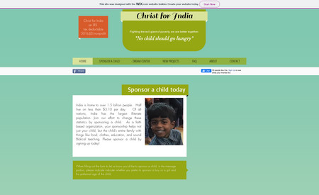 cfichildhelp: Designed a donation based website for my client