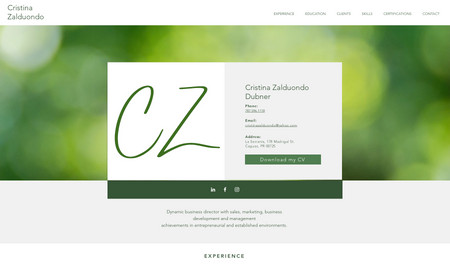 Cristina Zalduondo: Resume copy, website design, SEO