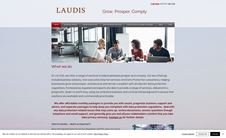Laudis: Website redesign.