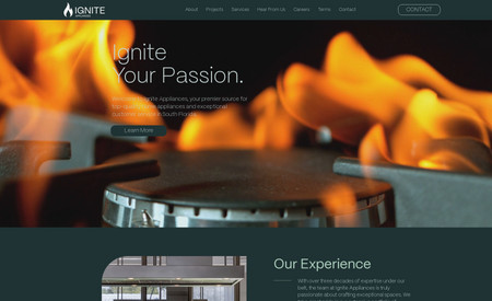 Ignite Appliances: This is an advanced website 
