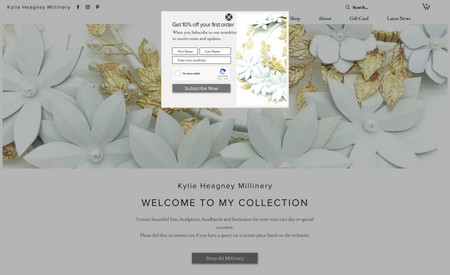 Kylie Heagney : This client wanted a minimalist site with a neutral palette that would showcase her millinery work.  I changed her from Shopify to Wix and her sales have greatly increased. Online store, blog and wix mobile app. Site is mobile and tablet friendly. I wrote all copy. SEO and google included.