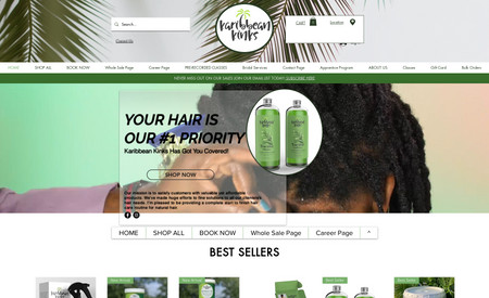 Karibbean Kinks: Natrual Hair E-commerce store
Custom website 
Custom videos
Product photos
payment processing and shipping through Shippo
email campaigns monthly
sales for holidays 
