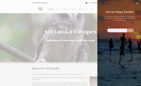 Travel Company - Sri Lanka Escapes: Sri-Lankan based Tour Operator & Tour Agency Website design and SEO Setup using Wix.