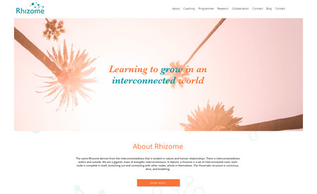 Rhizome Leadership: Life Coach and Executive Coach, Singapore