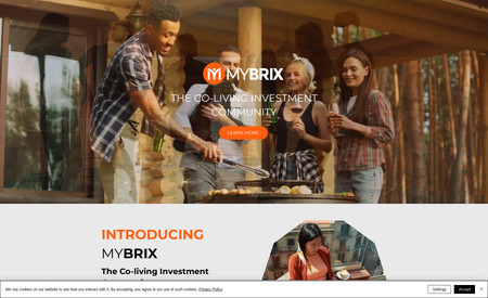 MyBrix: Logo design, video creation, and website design for this blockchain investment company. We created the entire website in just over a week! Check it out!