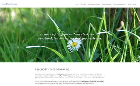 Amora Psychotherapie: For this project, I developed a partially bespoke website based on a template selected by the client, focusing on simplicity and modernity. The design was kept refreshingly simple to ensure easy flow and navigation for visitors. By combining a clean layout with intuitive navigation, I created a user-friendly experience that resonates with the client's vision for a modern and inviting online presence.