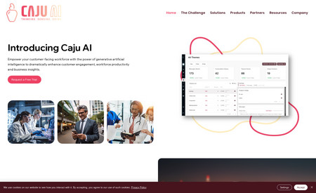Caju AI: Custom website for a software company