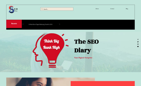 The Seo Diary: Website Development and Design