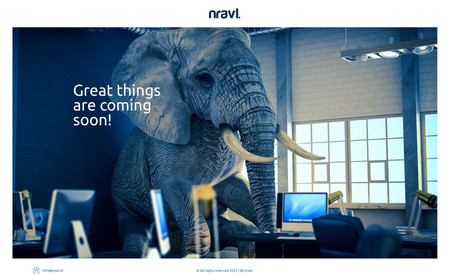 nravl : Branding and web design for IT startup