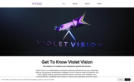 Violet Vision: Violet Vision is a prominent private equity and consulting firm. Our core mission is to empower and equip successful entrepreneurs, business leaders and startups, and small businesses with the resources and capital they need for sustainable growth. 