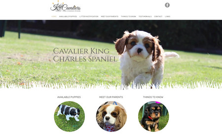 K9 Cavaliers: Website for King Charles Cavalier breeder, showcasing the breed and promoting when new puppies are available.
