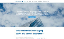 Capsure LLC High-end website for big company which looks great...