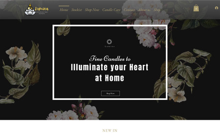 Lumina Co: Full website development