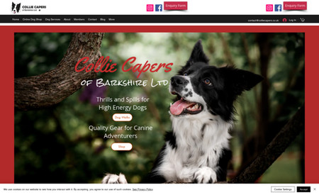 website: A website designed for a dog walker of "active" dogs, including an online store.