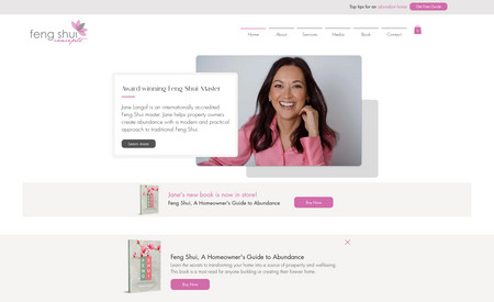 Feng Shui Concepts: Custom web design for Feng Shui master in Sydney, Australia.
