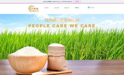 Mr. Big Rice A simple, yet visually appealing website that dire...