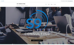s9consulting Many consultants walk-in, tear everything apart, i...