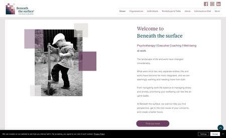 Beneath The Surface: Website Re-Design and Copywriting