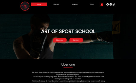 Art of Sport School: Designed E Commerce Website For My Client