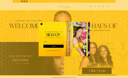 HAUS-OF-HONEY: This website was designed for a Company That Sells Hair Extensions.