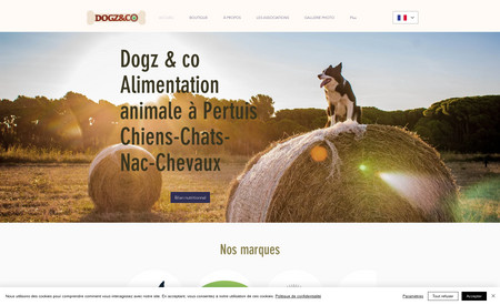 Dogz & Co: Siteweb alimentation animal