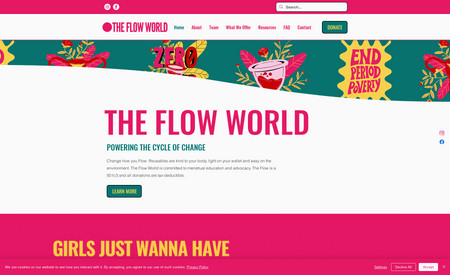 The Flow World: 