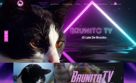 Brunito TV: Proyecto para mascotas y creacion de comunidad