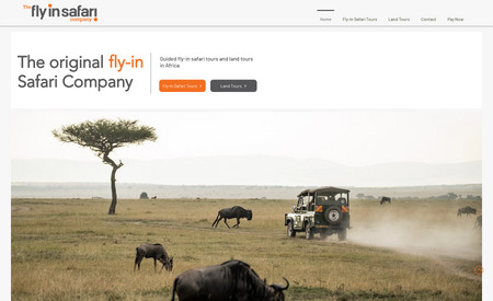 Fly in Safari Co.: Classic website design