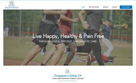 Apex Performance : This website is for a local chiropractor in Salinas, CA.