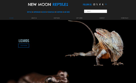 New Moon Reptiles: Webdesign, SEO & Graphic Designs