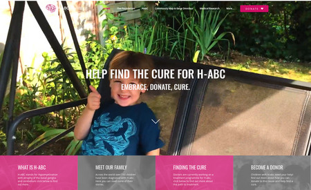 H-ABC Foundation - Donation Website: undefined
